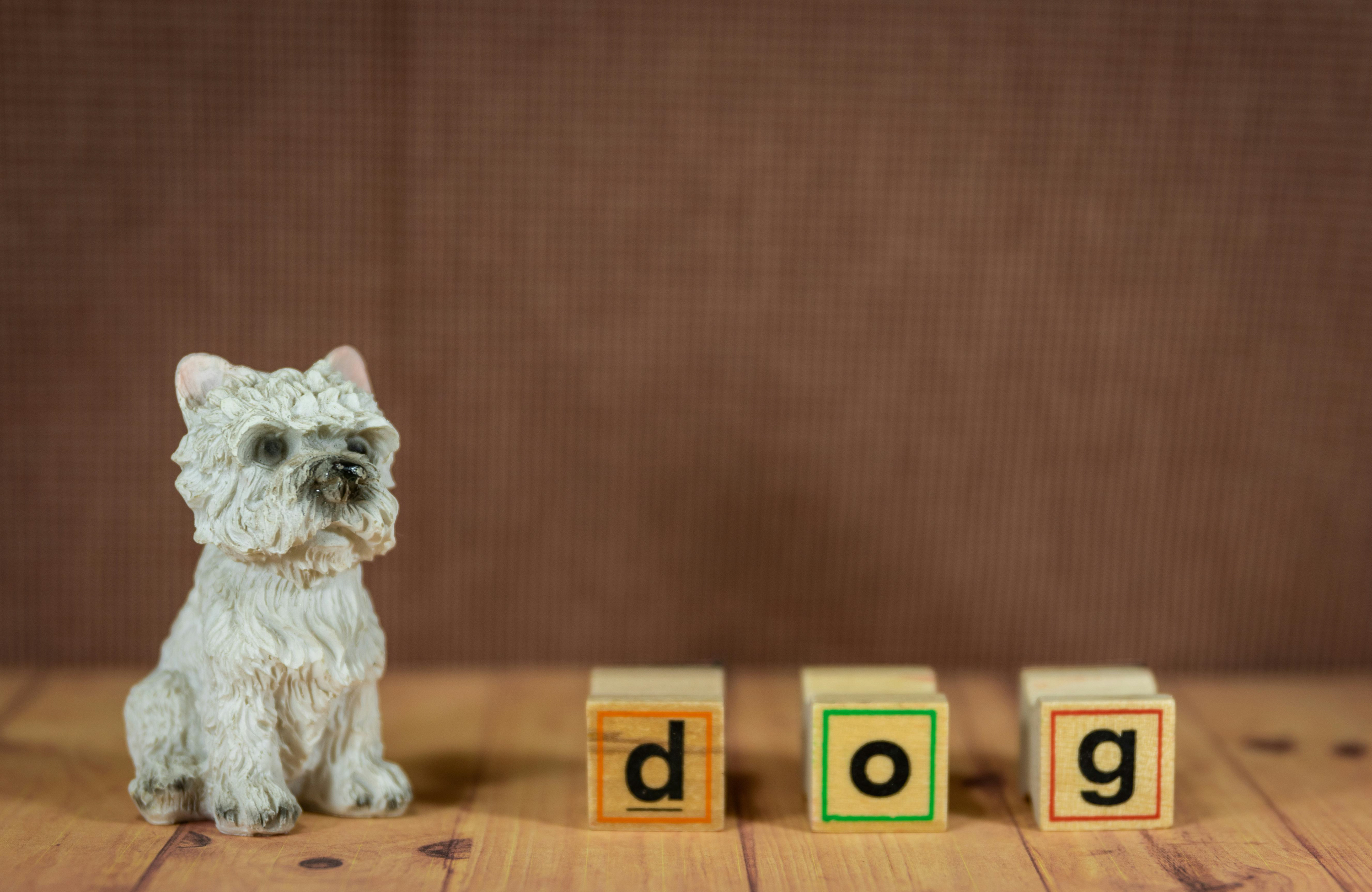 Toy dog next to letters spelling out the word dog